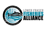https://fnfisherieslegacy.ca/wp-content/uploads/2022/07/Rectangle-21.jpg